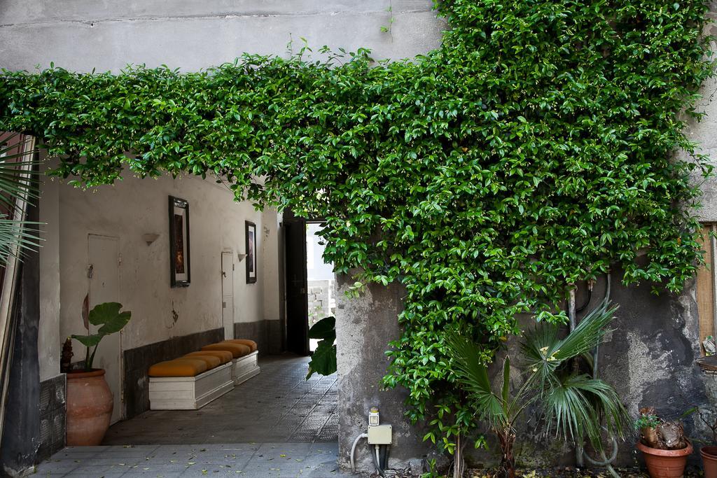 Alcala Living Apartments Catania Værelse billede